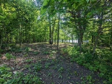 Lot 1 Honeysuckle Ln SW, Kensington, MN 56343 - photo 7