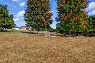 DJI_0752.jpg-SMALL