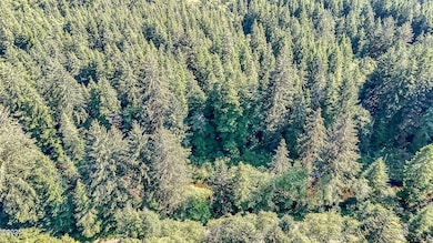 Yachats River Rd-5
