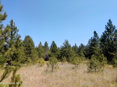 L2B1 N Sheep Springs Rd, Athol, ID 83801 - photo 2