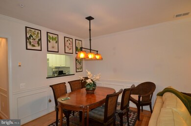 11211 Edson Park Place, Rockville, MD 20852 - photo 5