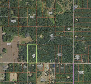 00 Soderquist Rd, Mancelona Township, MI 49659 - photo 2