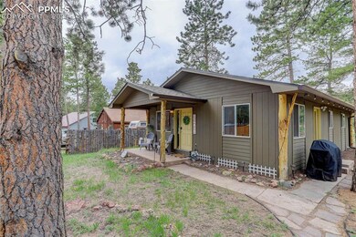 601 Dallas Aly, Woodland Park, CO 80863 - photo 3