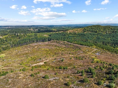 0 Salmon Creek Rd unit NWM2156058, Toledo, WA 98591 - photo 6