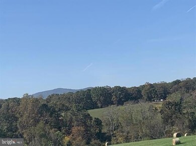 LOT 39 Blandemar Dr, Samuel Miller, VA 22903 - photo 4