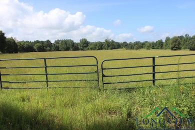 Gate with a rural view