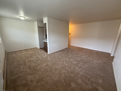 3001 N Thatcher Ave unit 2D, River Grove, IL 60171 - photo 4
