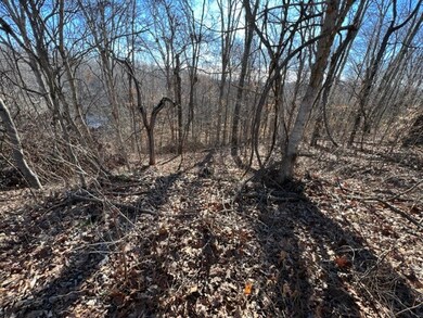 245 Taylor Ln, Stewart, TN 37175 - photo 6