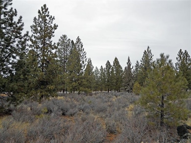 20180 Red Sky Ln, Bend, OR 97702 - photo 3