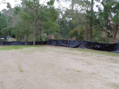 349 Ocean Blvd, St. Simons Island, GA 31522 - photo 4