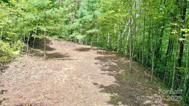 0 Sometimes Creek Rd, Sylva, NC 28779 - photo 7