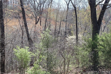 Lots 6, 7, 8 Lillie Bug Ln, Sunrise Beach, MO 65079 - photo 3