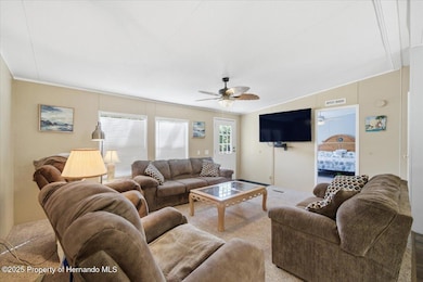 6715 W Richard Dr, Weeki Wachee, FL 34607 - photo 6