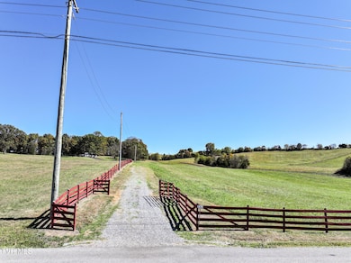 745 Sinking Springs Rd, Midway, TN 37809 - photo 3