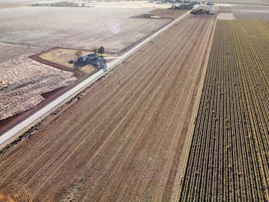 6639 Tiger Rd, Ropesville, TX 79358 - photo 4