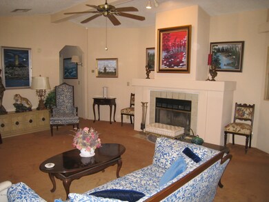 Living room and fireplace