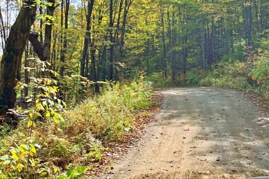 842 Gibbs Rd, Newport, VT 05857 - photo 4