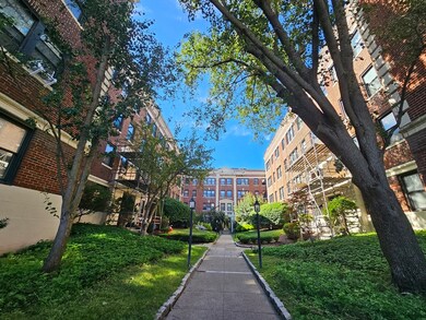 137 Englewood Ave unit 32, Brighton, MA 02135 - photo 3