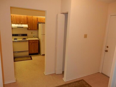 Foyer with Coat Closet