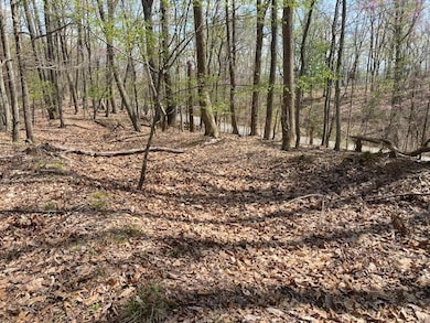 155 Chelaque Way, Mooresburg, TN 37811 - photo 7