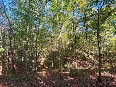 McDonald Rd, Florence, MS 39073 - photo 7