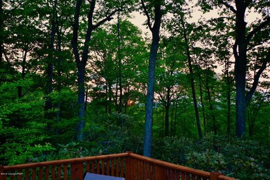 2131 Laurel Ln, Buck Hill Falls, PA 18323 - photo 4