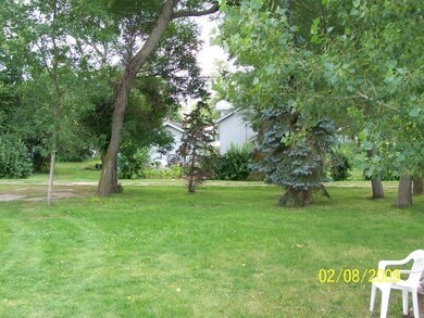 Back  Yard