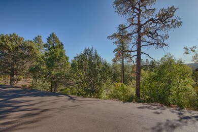 1701 S Gambel Oak Rd, Show Low, AZ 85901 - photo 3