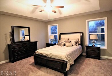 113 Dode, Downs, IL 61736 - photo 3