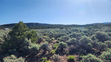 1691 Luke Rd, Fort Garland, CO 81133 - photo 4