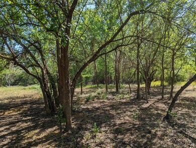 1053 Preserve St, Weatherford, TX 76085 - photo 5