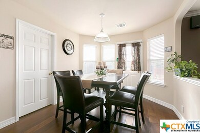 10006 Chariot Trail, San Antonio, TX 78254 - photo 7