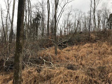 2 Alf Harris Rd, Prospect, TN 38477 - photo 6