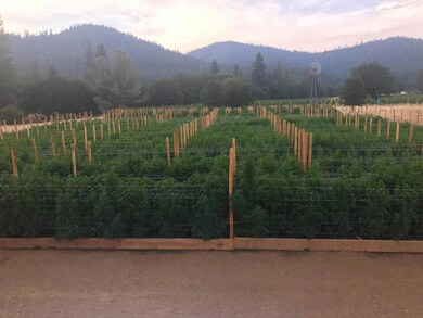 1Planted Garden