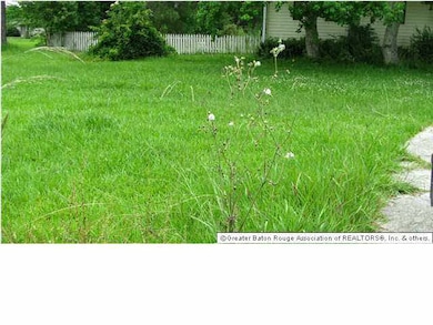 I have a lovely yard of good grass and lots of spa