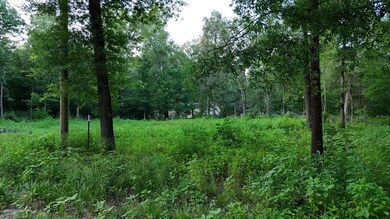 235 Panther Ln, Livingston, TX 77351 - photo 6