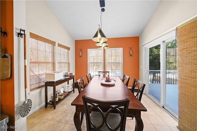 3209 Fenmore Ln, Aurora, OH 44202 - photo 6