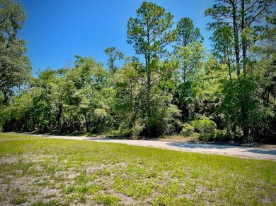 West side of 10-acre Parcel