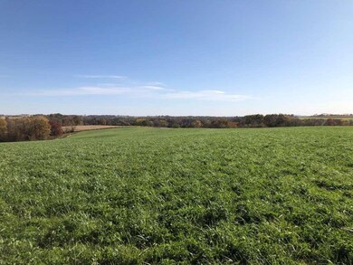 98.33 +/- acres Pikes Peak Rd, Potosi, WI 53820 - photo 2