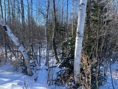 25 Itasca County 25, Wawina Township, MN 55736 - photo 6