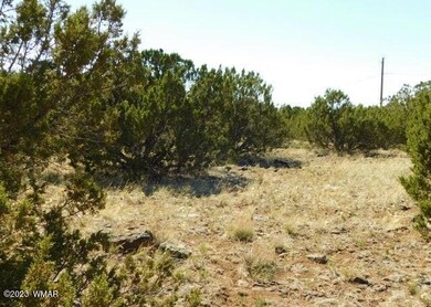 8548 Quail Run Dr Show Low, AZ 85901