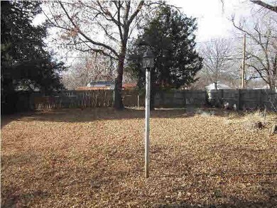 View of large back yard