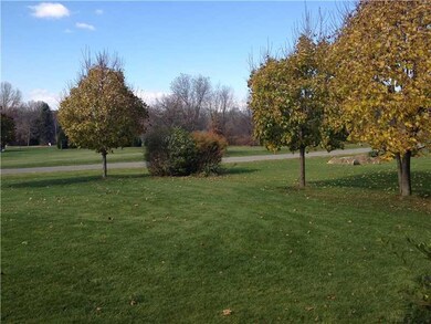 Yard/Garden. Front view