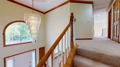 4352 Dairymans Cir, Naperville, IL 60564 - photo 7