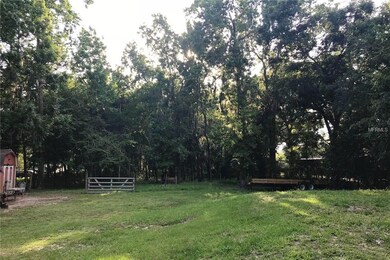 5028 Clewis Ave, Tampa, FL 33610 - photo 5