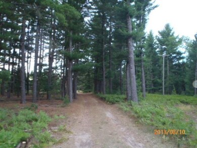 8685 Kaleva St, Kaleva, MI 49645 - photo 5