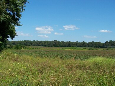 00 Tee Vee Road Hwy 267, Santee, SC 29142 - photo 2