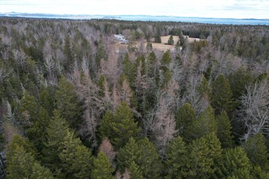 Lot 51 Route 1, Pleasant Point, ME 04667 - photo 5