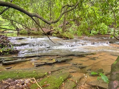 2243 Damascus Rd, Ball Ground, GA 30107 - photo 2