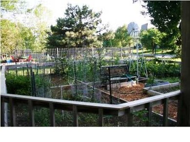 Garden on the other side of the back yard that inc